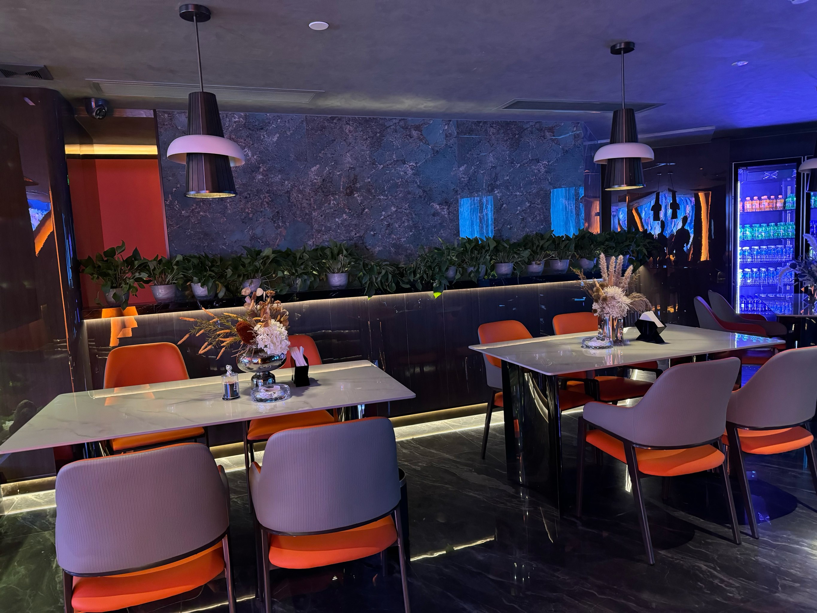 湛江商务ktv与片场区别解析-廉江市ktv预定